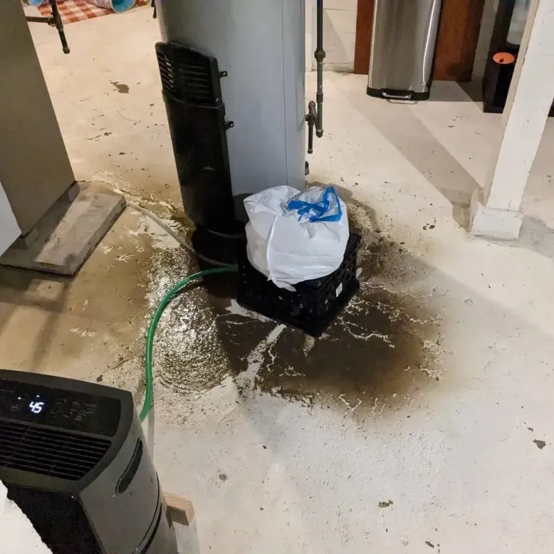 Sewage Backup Cleanup Service in Emerald Lakes, PA
